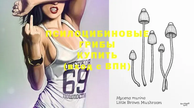 Псилоцибиновые грибы MAGIC MUSHROOMS  Бодайбо 